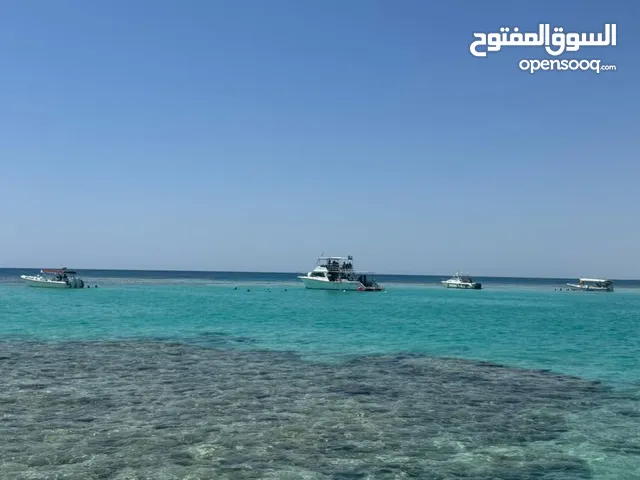 رحلات جزيرة بياضه
