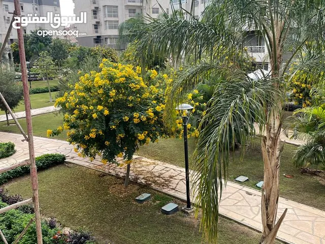 116m2 3 Bedrooms Apartments for Rent in Cairo Madinaty