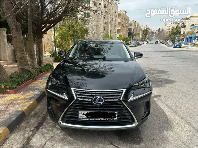 Used Lexus NX in Amman