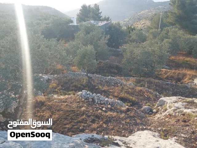 قطعة أرض مميزة في بيت ريما