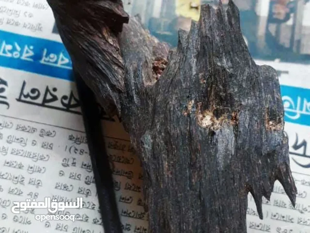Nagalandi Oudh