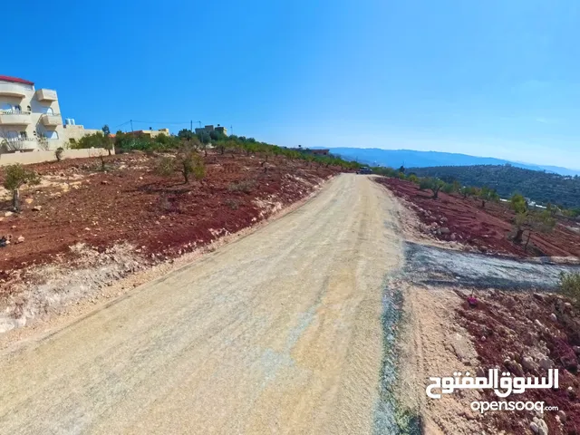 Residential Land for Sale in Amman Badr Jdedeh