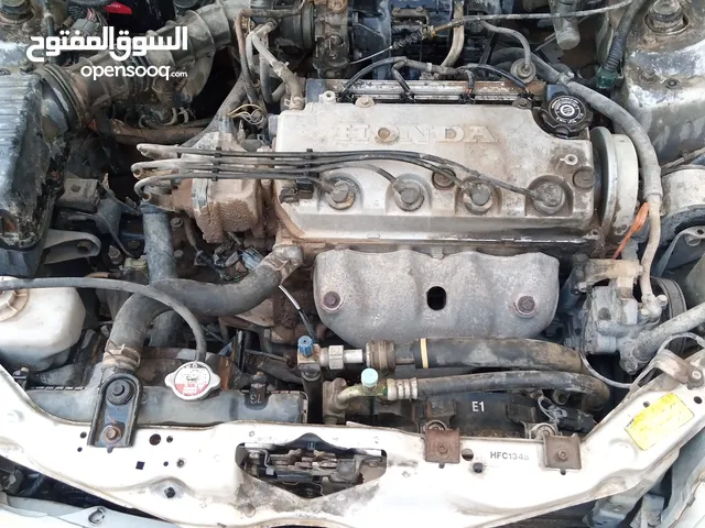 Used Honda Accord in Tripoli