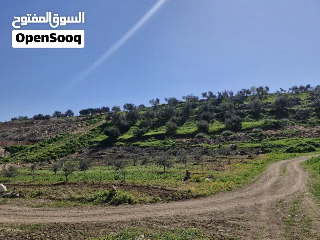 ارض سكنيه فيه بني كنانه للبيع بسعر مفري