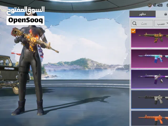 Pubg Accounts and Characters for Sale in Jenin