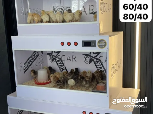 حاضنات للصيصان OSCAR