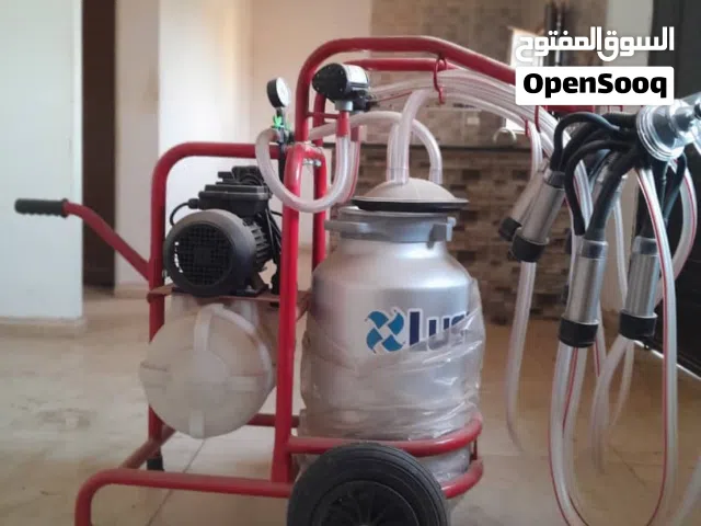 سوق الأبقار للبيع