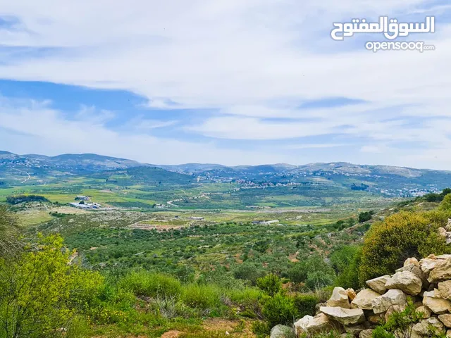 ارض معروضة للبيع 15
