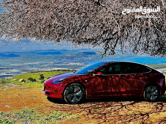 New Tesla Model 3 in Irbid