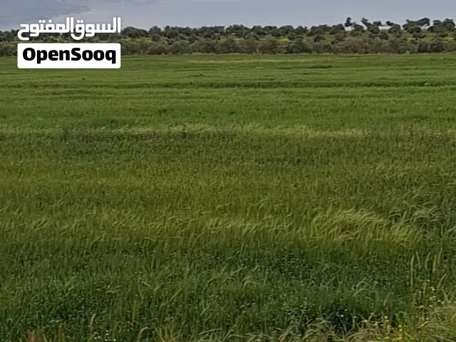 ارض بالقرب من المقصورة الملكية اطلالة خلابة على بحيرة طبريا وجبال فلسطين