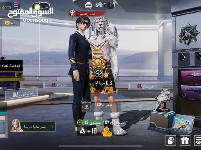 Pubg Accounts and Characters for Sale in Hebron