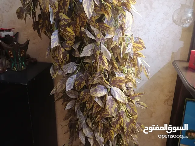 مستعمل. بحالة الجديد
