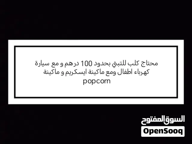 محتاج كلب للتبني بحدود 100-150 مع سيارة كهربائية للأطفال مع ماكينة ايسكريم و popcon