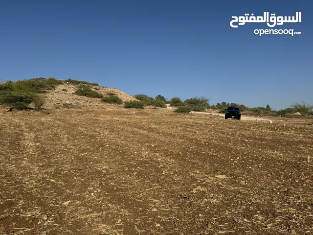فرصة استثمارية نادرة مطلة على بحيرة طبريا في ام قيس
