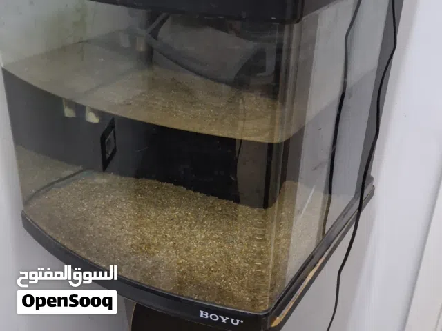 حوض سمك زينة