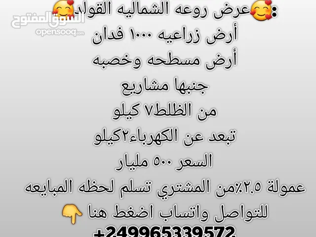 أرض زراعيه في القولد 1000فدان