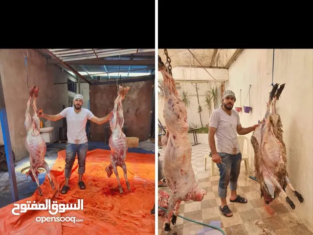 لحام متنقل