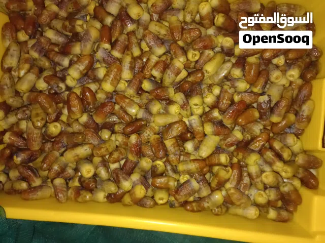 تمر نغال للبيع