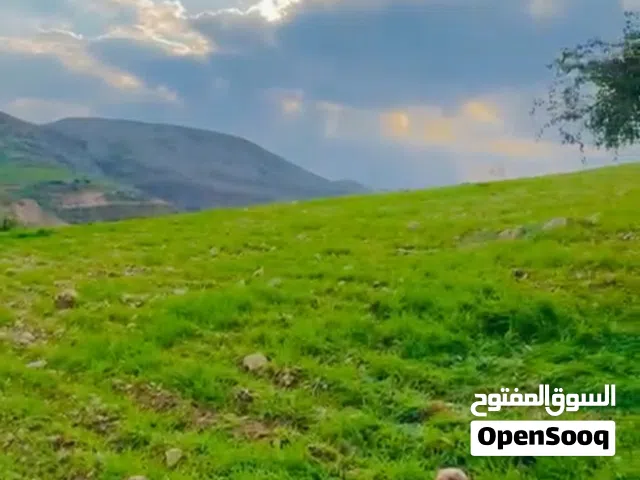 Mixed Use Land for Sale in Amman Mahes