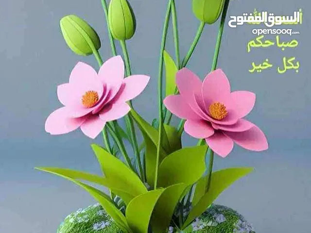 100 m2 2 Bedrooms Apartments for Rent in Zawiya Other