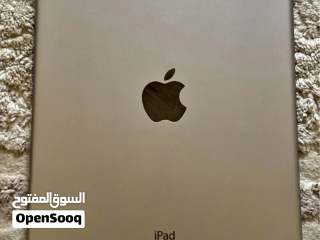 Ipad Air 2 64 GB Combo 2 Pcs