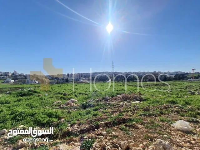 Residential Land for Sale in Amman Hjar Al Nawabilseh