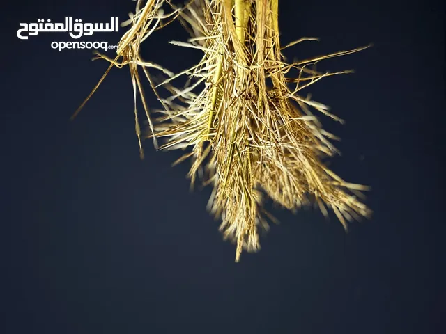 Apple iPhone 15 Pro Max 256 GB in Basra