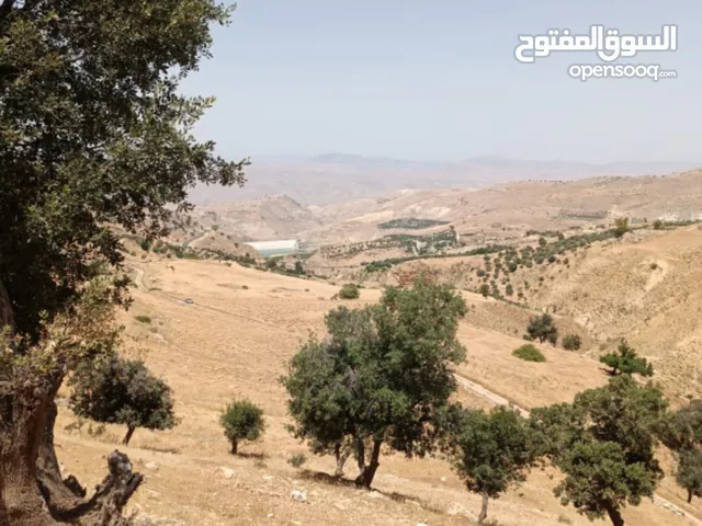قطعتين ارض قوشان مستقل للبيع  كفرنجة الجميمة مع اطلاله سكنية وزراعية والاستثمار