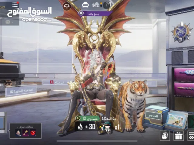 Pubg Accounts and Characters for Sale in Misrata