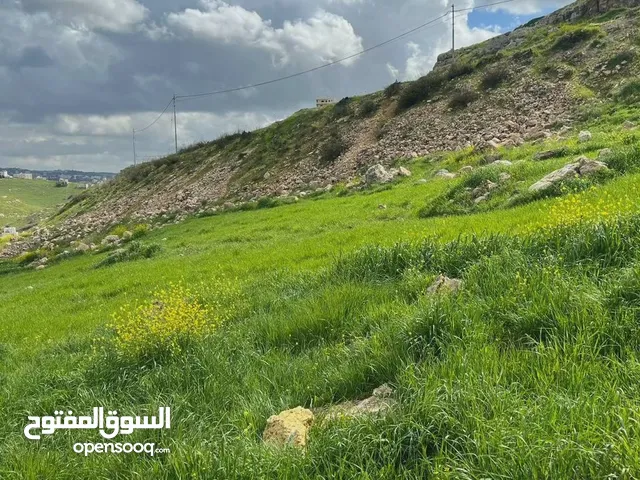 Residential Land for Sale in Salt Shafa Al-Amriya