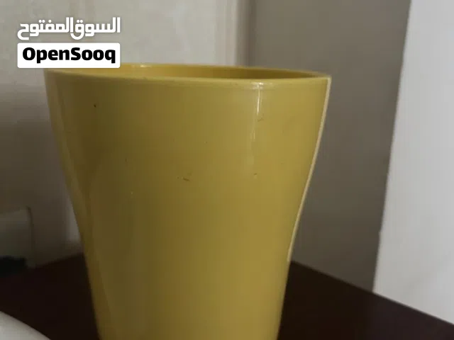 Ceramic pot plant