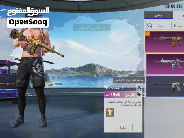 Pubg Accounts and Characters for Sale in Basra