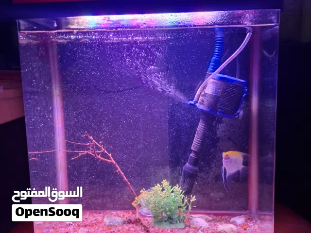 fish tank with fish