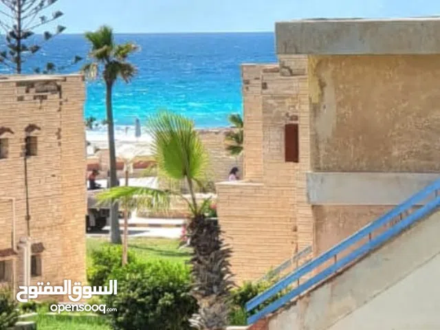 للايجار بقريه مراقية الساحل الشمالي