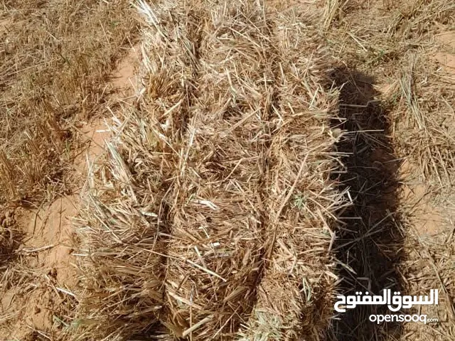 240 بآلة قصيبه للبيع