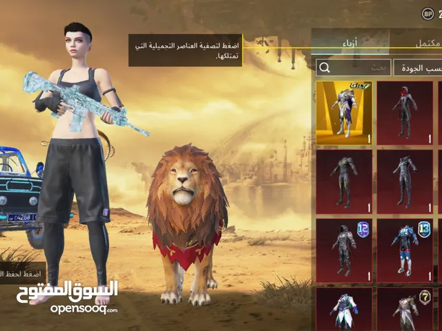 Pubg Accounts and Characters for Sale in Gharyan
