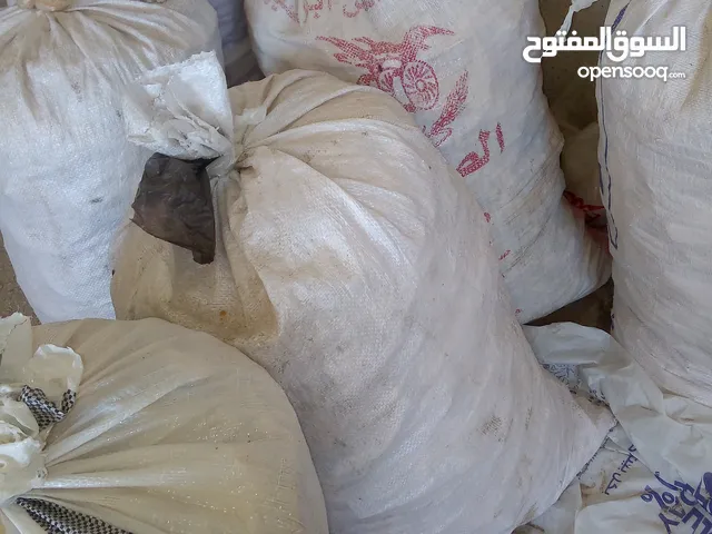 خبز ناشف للبيع بسعر 2.50