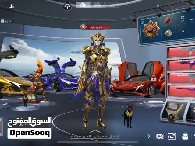 Pubg Accounts and Characters for Sale in Muscat