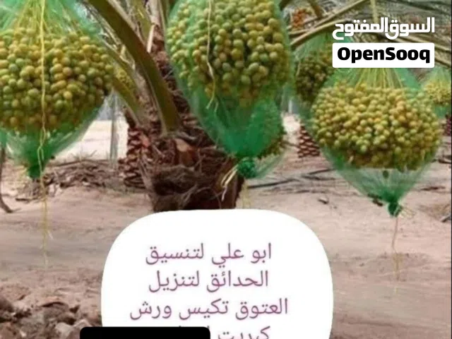 تنسيق حدائق