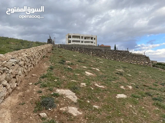 Farm Land for Sale in Zarqa Um Rummanah