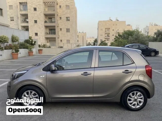 2019 كيا بيكانتو X-Line