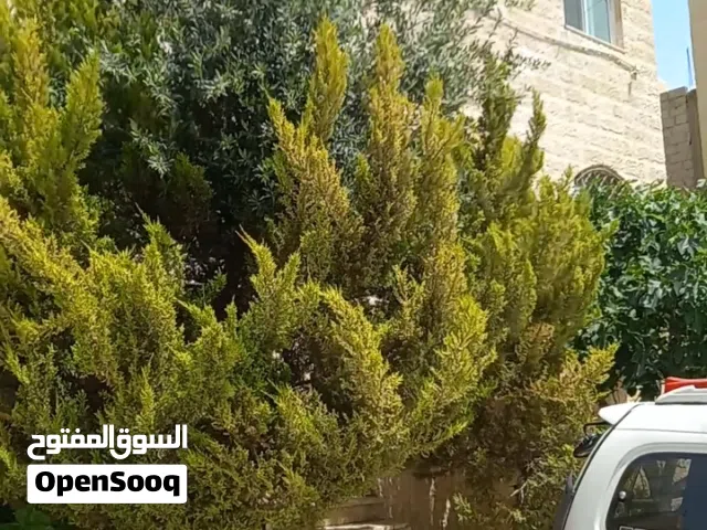 منزل مستقل نظام دوبلكس امريكي طابقين واجهه الاماميه حجر وساحه امام المنزل