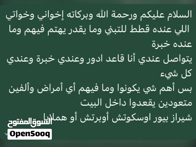 اللي عنده قطط للتبني يتواصل عندي