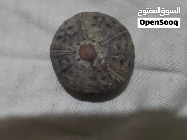 بيع عملات و مقتنيات قديمة