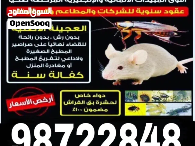 مكافحة حشرات والقوارض بق الفراش والنمل والصرصير جميع مناطق الكويت علي مدار اليوم 24ساعه