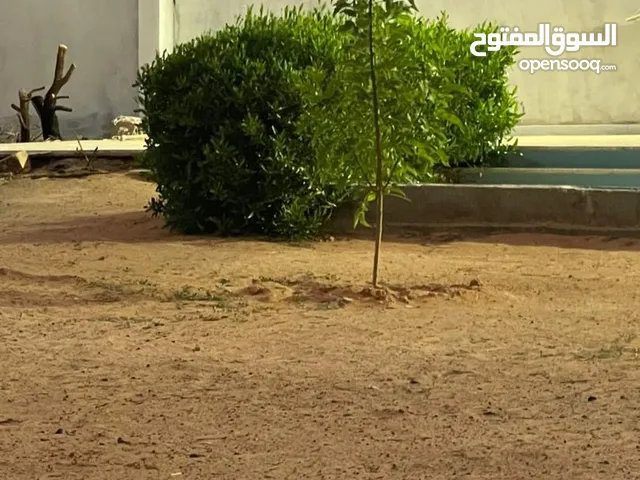 قطعة ارض يوجد بيها استراحة صغيرة مساحتها 620