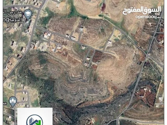 Residential Land for Sale in Amman Zinat Al-Rubue