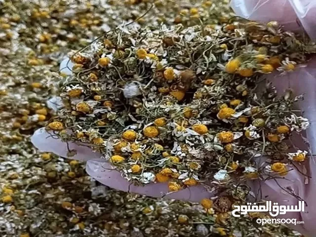 Toplu Satış – İran’dan Doğal Kurutulmuş Papatya ve Dağ Kekiği