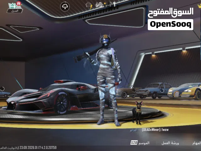 Pubg Accounts and Characters for Sale in Sabha