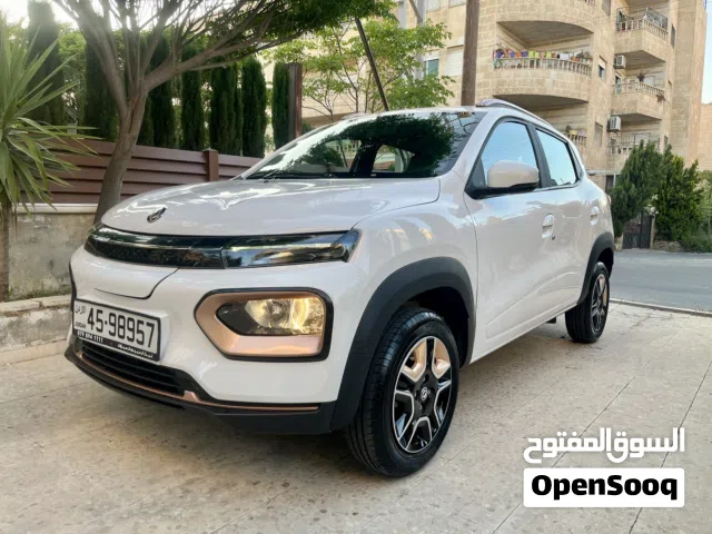 2024 Dongfeng EX1